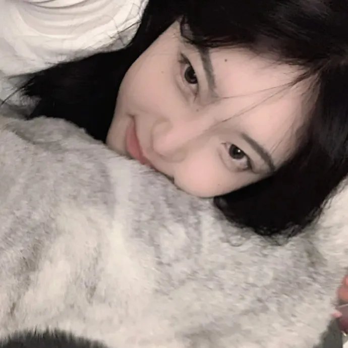 新教
